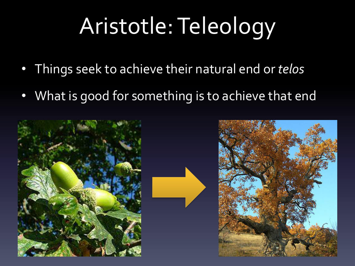 Aristotle: Teleology. Things seek to achieve their natural end or telos. What is good for something is to achieve that end