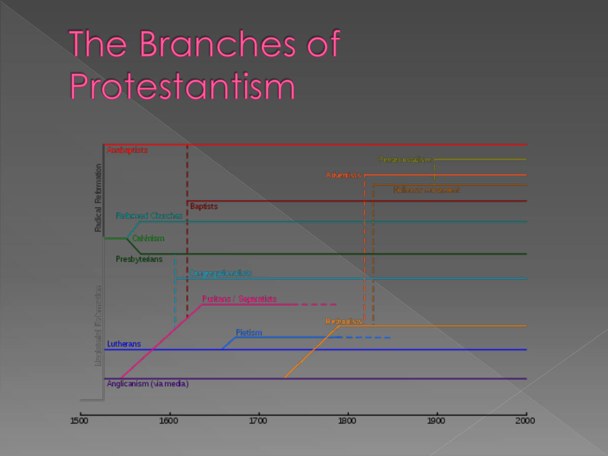 The Branches of Protestantism
