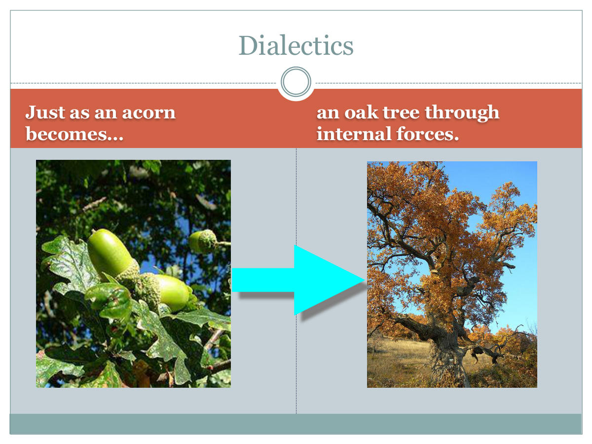 Dialectics. Just as an acorn becomes… an oak tree through internal forces.