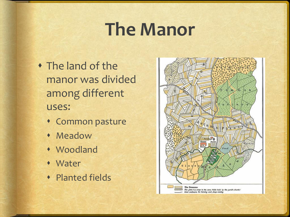 The Manor. The land of the manor was divided among different uses: Common pasture. Meadow. Woodland. Water. Planted fields