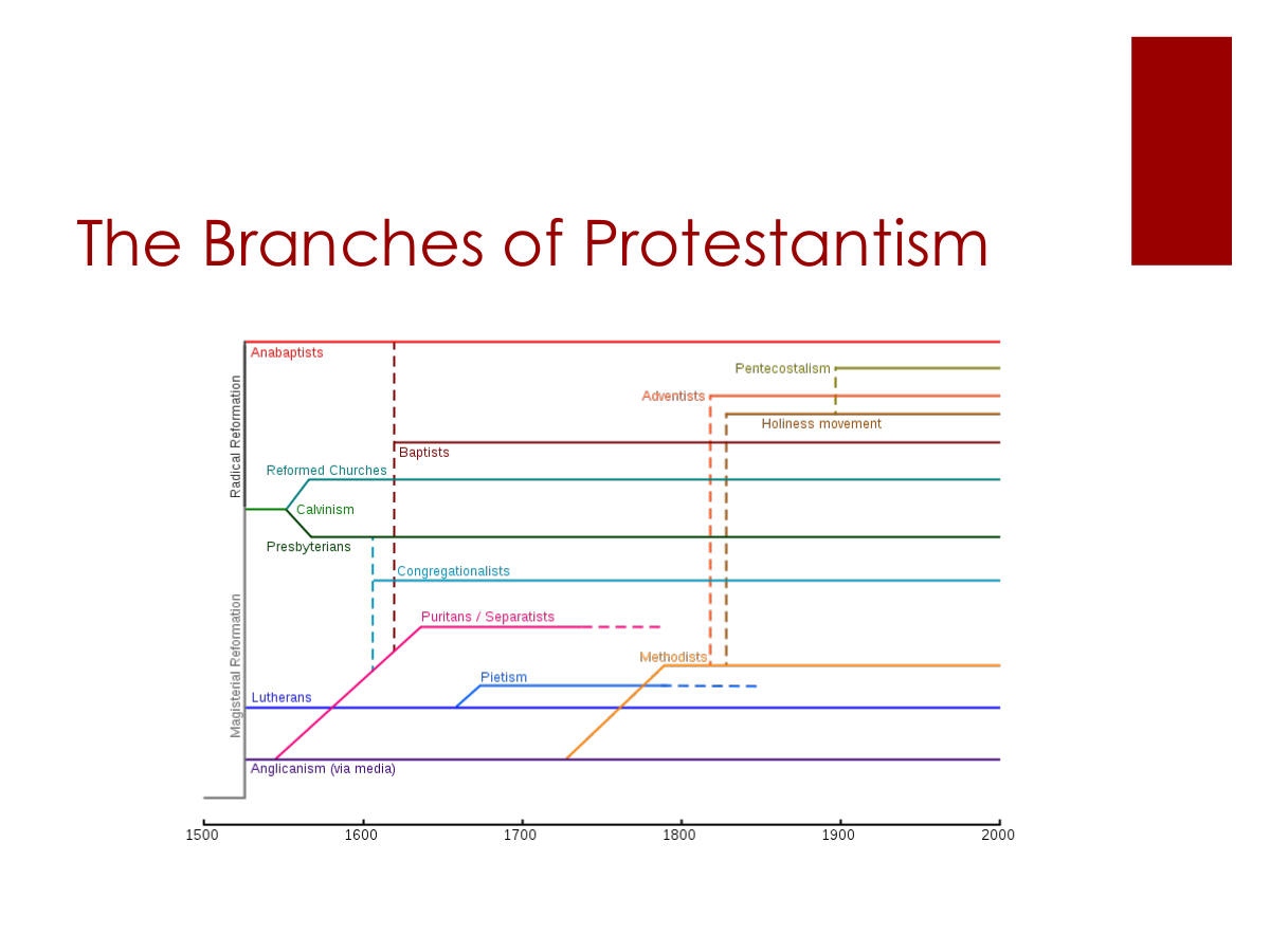 The Branches of Protestantism